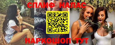 молекула духа Будённовск