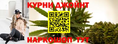 молекула духа Будённовск