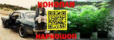 молекула духа Будённовск