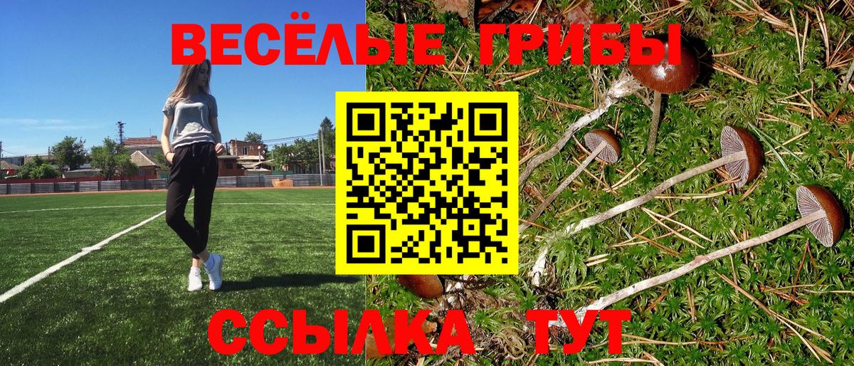 Галлюциногенные грибы ЛСД Усолье-Сибирское
