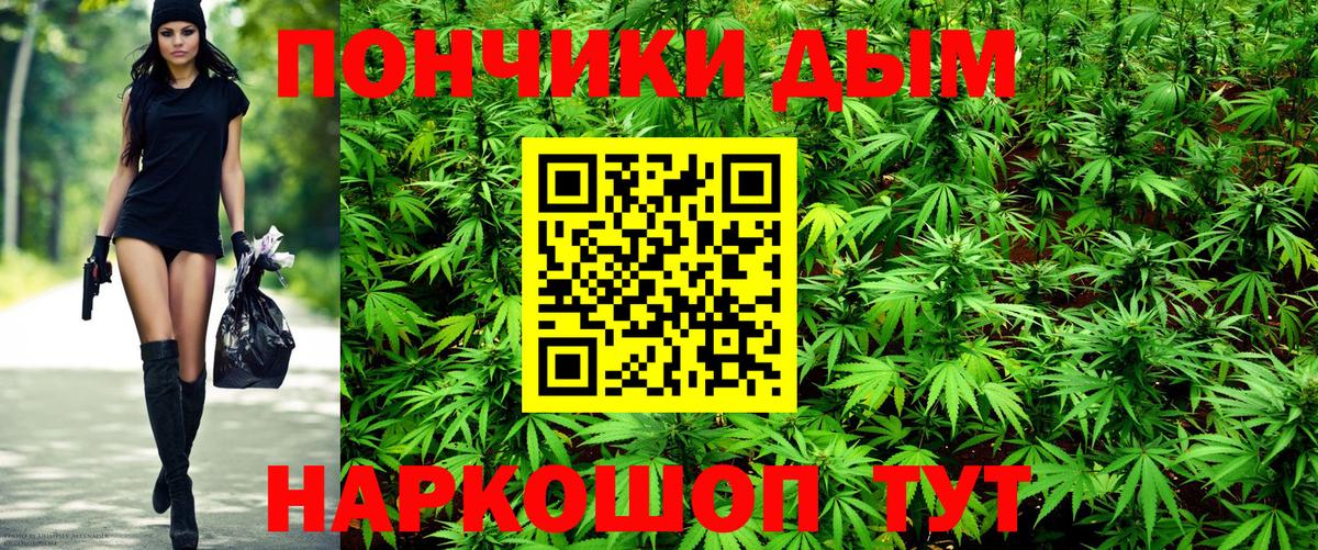 Бошки Шишки марихуана  МАРИХУАНА планчик  Вход с VPN  Усолье-Сибирское  Конопля OG Kush 